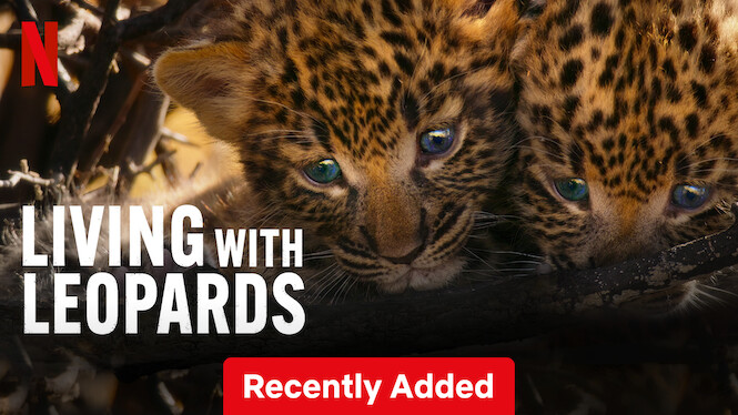 10th May: Living with Leopards (2024), 1hr 11m [TV-PG] (6/10
